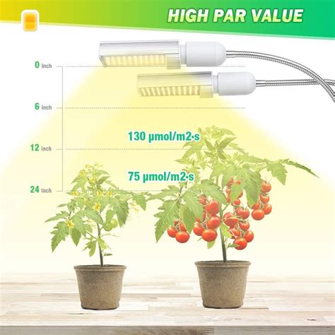 In my tanks, the 24 lighted plants grow more strongly than do the same plants under only 12 hours of light. THOW LONG SHOULD YOU LEAVE THE GROW LIGHT ON? You should ...