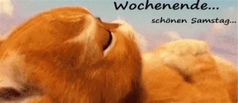 Lustige sonntagsgrüße bilder kostenlos für whatsapp. Wochenende... Schönen Samstag GIF - Samstag Katze Niedlich ...