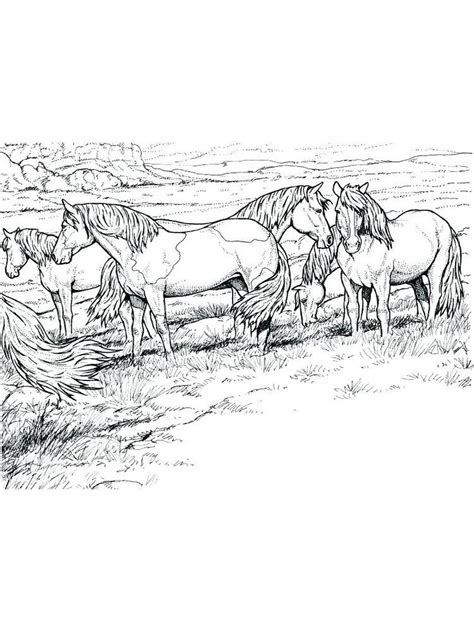 Free printable realistic horse coloring pages. Pin on Reese reynolds