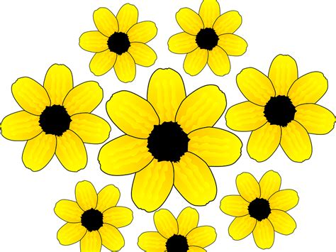 Besar, biasanya berwarna kuning terang. Terbaru 18+ Gambar Bunga Matahari Animasi - Sugriwa Gambar