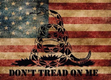 Don't tread on me rebel flag 3x5'. Pin by Nik on Liberty | Dont tread on me, American flag ...