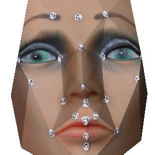 Sporty club april 14, 2021. (PDF) 3D Facial Landmark Models for Soft Tissue Analysis with The 3D 3Cameras ...