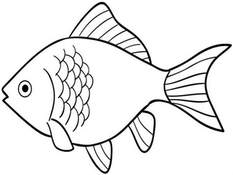Kumpulan gambar mewarnai ikan cupang. +3001 Kumpulan Gambar Sketsa Ikan Lengkap dan Cara ...