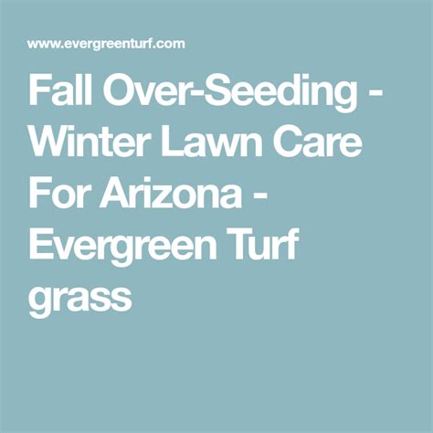 But, you will still have weeds because spread it over the dead spot. Fall Over-Seeding - Winter Lawn Care For Arizona - Evergreen Turf grass | Lawn care, Lawn, Sod grass