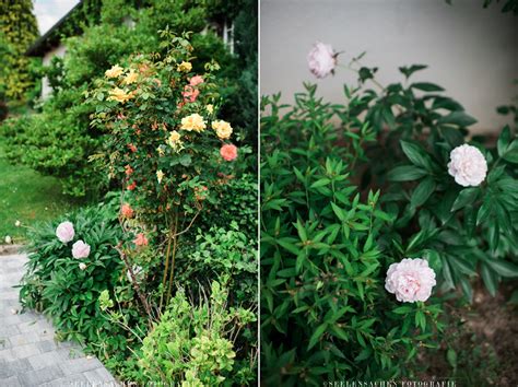 Mittlerweile sind im garten der twg zwei gemüsebeete, zwei hochbeete und ein kräuterbeet entstanden. Sommerspecial: Ab in den Garten! ~ Rosen, nichts als Rosen