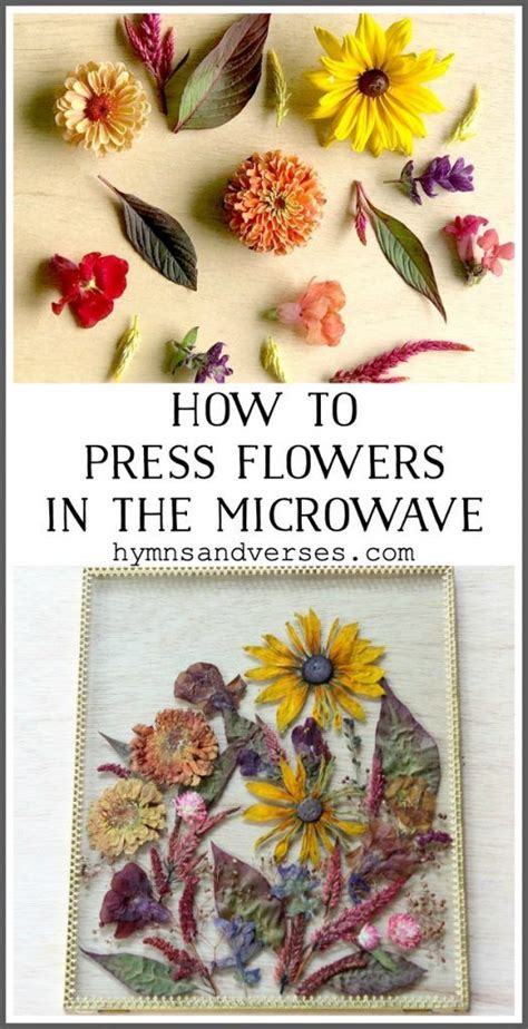 Drying flowers to preserve them has been a homesteading tradition going back hundreds of years. How to Press Flowers in the Microwave | Pressed flowers ...