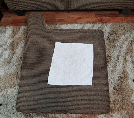 How to clean urine from couch foam? How to Remove Pee and Urine from Couch (Works for ...