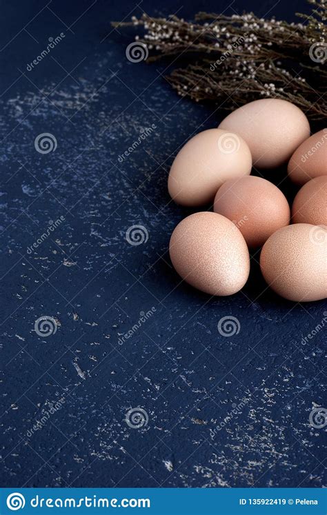 Guinea hen eggs (top right) guinea fowl have resisted man's attempts to domesticate and 'improve' the species very well. Eggs Of Guinea Fowl On Blue Background Close-up Stock ...