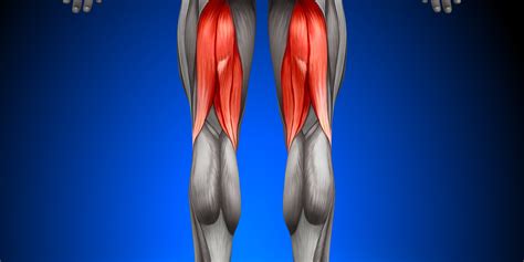 For optimal strength and muscle gain, train the hamstrings and glutes together using compound lifts. Tight hamstrings - the chicken, the egg or the ham ...