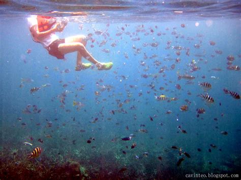 Pulau tioman) is a mukim and an island in rompin district, pahang, malaysia. Entree Kibbles: Renggis Island - Final Stop of the Full ...