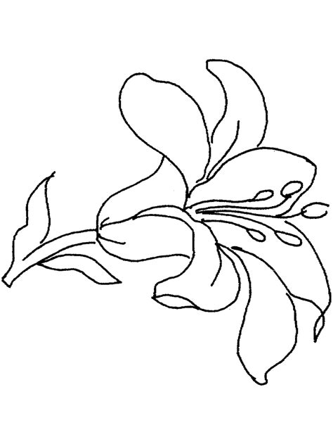 Plant a flower today and you will help earth tomorrow. Plants and Flowers Coloring Pages - PrimaryGames.com