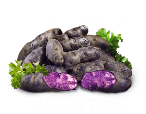 Check spelling or type a new query. Patate viola vitelotte: acquista online bontà e salute!