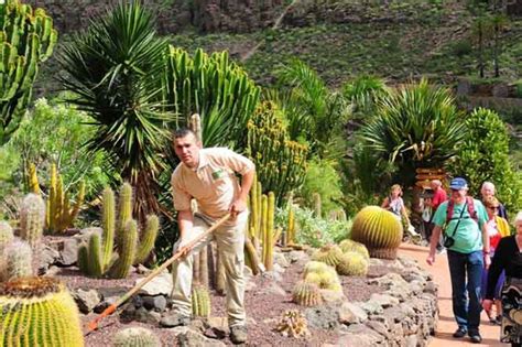 ¿cuidar un cactus es complicado? Cómo cuidar de nuestros cactus en invierno | Cactus ...