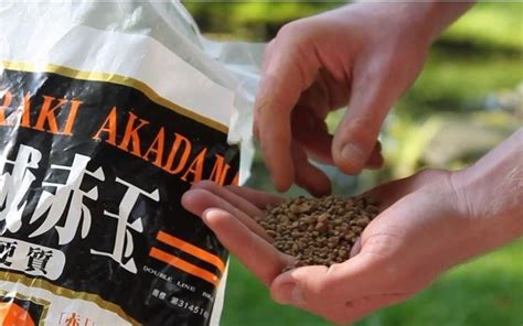 Double red line brand of akadama is the most well known brand. Akadama - Attrezzi e vasi per bonsai - Akadama - piante ...