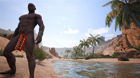 +connect 198.46.212.10:17020 replace the ip given here with the ip from the server. Review: Conan Exiles - The Best Survival Game in Life? - INN