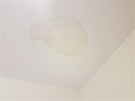 How to paint over water stains on the ceiling? Water Stains on the Ceiling? | John The Plumber ...