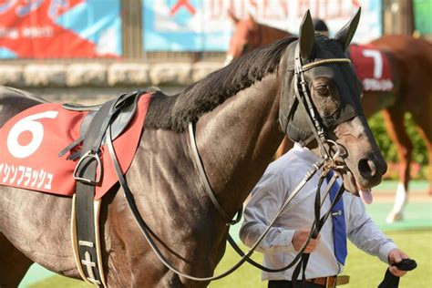 Maybe you would like to learn more about one of these? 【東京競馬場】エイシンフラッシュ 13/10/6 13毎日王冠 | ノース ...