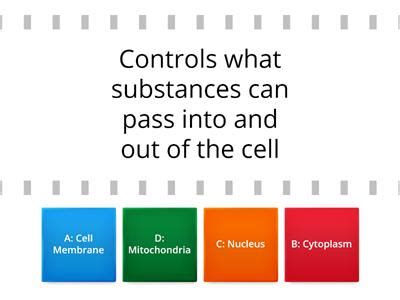 Maybe you would like to learn more about one of these? Y7 Cells for - Teaching resources