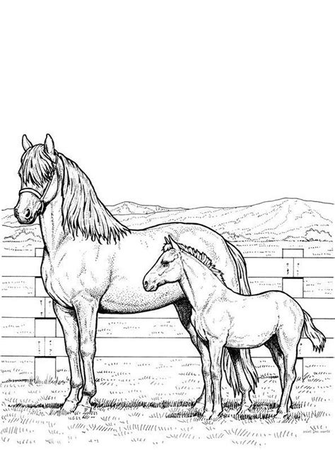 Kleurplaat uit de categorie 'paarden kleurplaten'. Kleurplaten Paarden En Pony S En Veulens