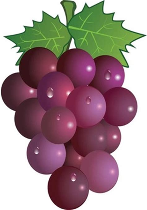 Fresh cut vegetables real transparent background. Library of pictures of grapes graphic transparent library ...