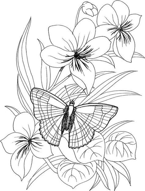 The fluttering butterflies are magnificent with their colorful. Flower Coloring Page | Butterfly coloring page, Flower ...