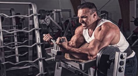 The curse of aged cactus jack. Things that you must do to grow bigger and stronger in the gym