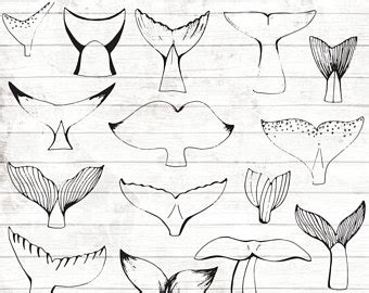 Learn how to draw a whale in a few easy steps. Whale Tail Drawing at GetDrawings | Free download