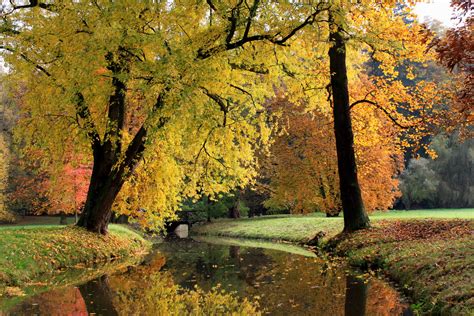 Find the perfect czech republic nature stock photos and editorial news pictures from getty images. Image Czech Republic Pruhonice Autumn Nature Rivers 1920x1280