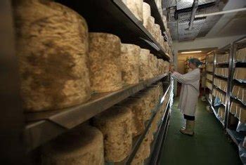 Interact with clients, owners, tenants and lessees and handle their requests and needs. Job Description of a Cheese Maker | Work - Chron.com