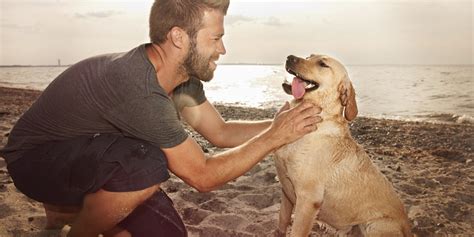 Understanding the language in which dogs communicate will make you able to communicate better with them and create a meaningful bond. How Having A Dog Will Make You Better At Dating - AskMen