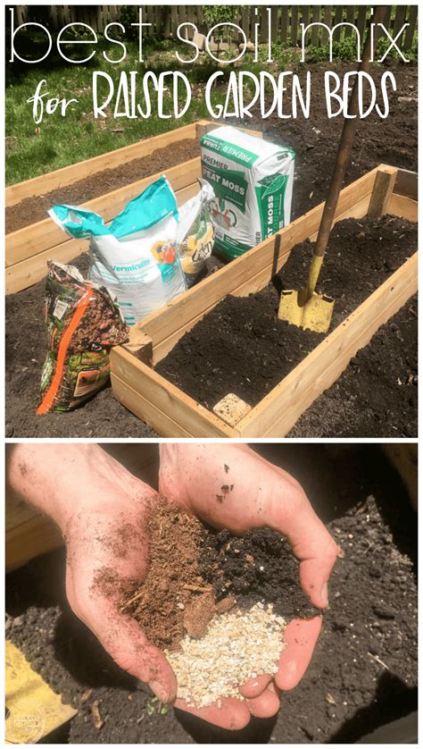 Aim to make the base of each row at least 6 inches (15 cm) wide so your vegetables' roots have room to grow without being exposed to open air. best soil for raised beds in vegetable gardens - Refresh ...