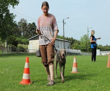 Soigneur animalier, missions, formations pour devenir soigneur animalier avec le guide qu'il travaille comme animalier en parc zoologique, dans une animalerie ou une clinique. Formations de perfectionnement secteur animalier du CFPPA ...