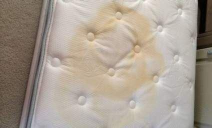 The best way to protect your mattress against spots and stains is to use a waterproof mattress protector. 64+ trendy how to clean a mattress sweat hydrogen peroxide ...