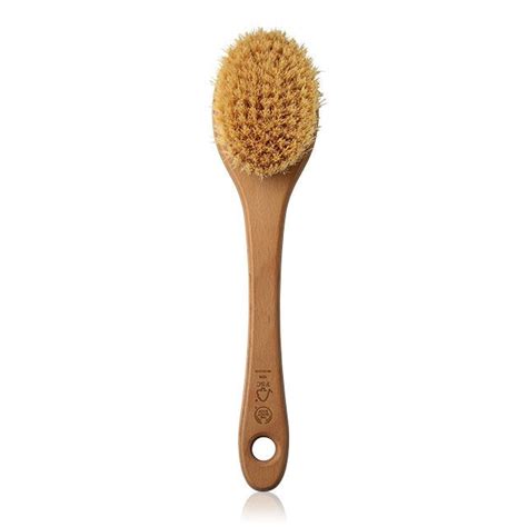 The handle and loofah are very nice. Cactus Long Handle Body Brush | Body brushing, The body ...