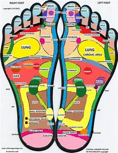 Foot Reflexology Reflexology Body Therapy