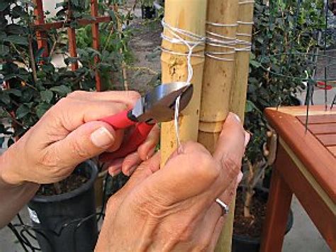 Wind string in, around, and throughout stakes for support lay plant vines or stems onto the trellis. How to Make a Bamboo Trellis | how-tos | DIY