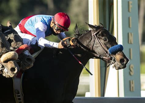 Mandaloun placed, and hot rod charlie, very much among the first tier of favorites, showed. Pedigree fun facts: Medina Spirit