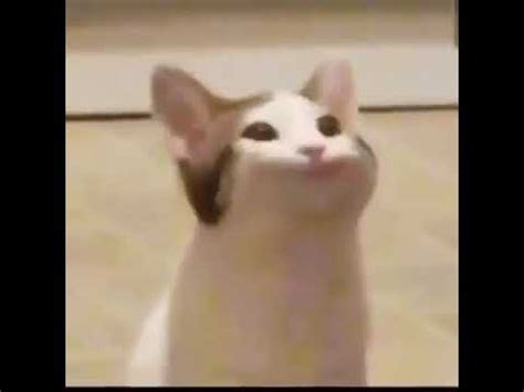 Like, 'c'mon, this is my meme!' that meme,. Cat making mouth noises meme - YouTube