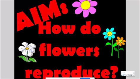 They are widely spread geographically and, in fact, can be found from brazil and argentina to the southern united states. How do flowers reproduce - YouTube