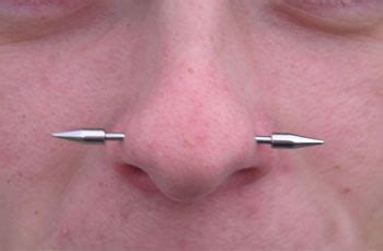 We did not find results for: Nasallang Piercing | Nasallang piercing, Piercings ...