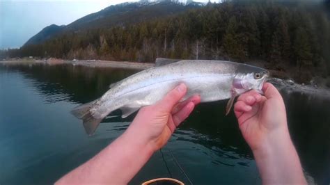 With over 20,000 lakes to fish in british columbia, you'll have no shortage of options. Fly fishing, Lazy Lake. East Kootenay's B.c. - YouTube