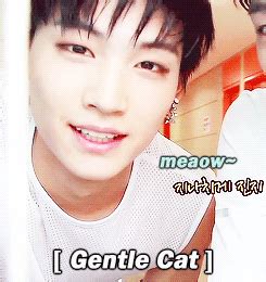 513,447 likes · 445 talking about this. Welcome Nora, Kunta, and Odd 💘🐈 | GOT7 Amino