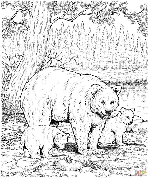 You can now print this beautiful walking grizzly bear coloring page or color online for free. American Black Bear Family coloring page | SuperColoring ...