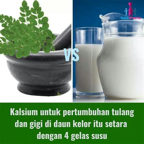 Andai upaya pencegahan serta perawatannya dilakukan sedini mungkin ketika kerusakannya belum terlanjur. Rawatan Akar Gigi Untuk Apa - AKARKUA