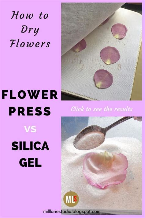 One of our favorites is preserving flowers in resin. Drying and Preserving Flowers for Resin | How to preserve ...