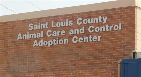 When you adopt a pet, you save lives. Audit confirms volunteers' fears at St. Louis County ...