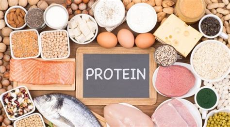 Jenis makanan berprotein nabati tinggi. Daftar Makanan Tinggi Protein Rendah Lemak Baik untuk Diet