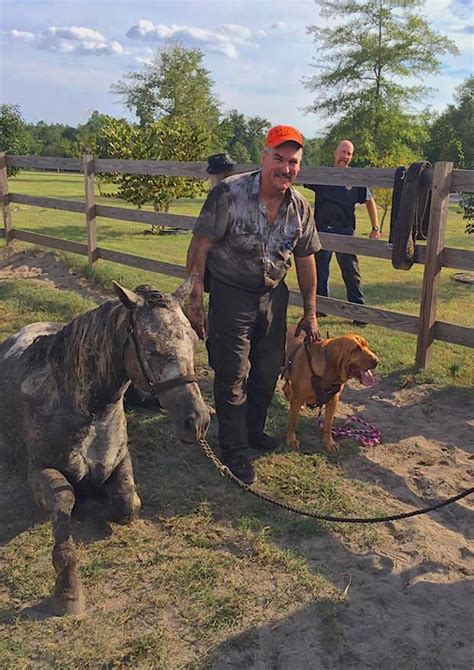 Incorporate in south carolina by filing articles of incorporation with the secretary of state. Danny & Ron's Rescue nonprofit in Camden, SC | Volunteer ...