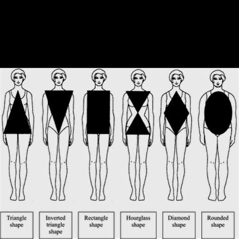 This video shows over 3,000 years of women's ideal body types as determined by their societies' standard of beauty. What shape are you | Body types women, Body shapes, Petite ...