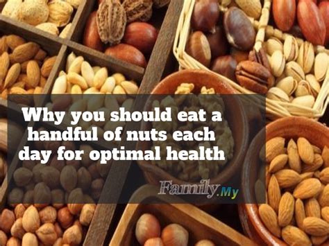 Find detailed calories information for pecans including popular serving sizes of pecans and other common suggestions. Why you should eat a handful of nuts each day for optimal health | Malaysia Health Family ...